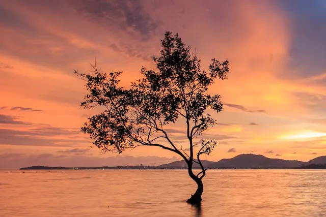 LE CAP PANWA PHUKET THAILANDE