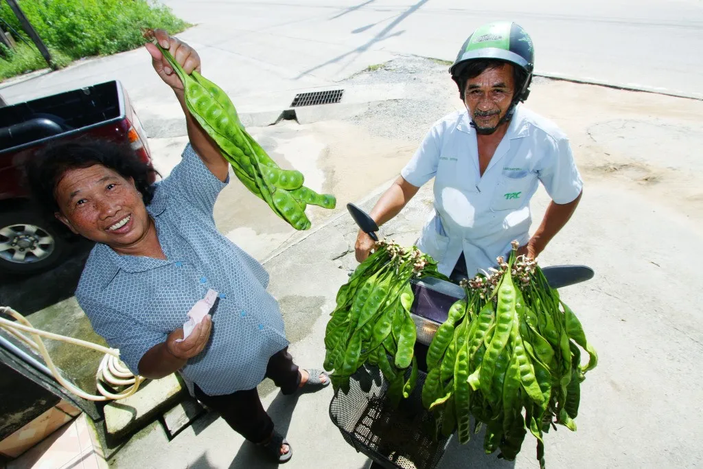 VENDEUR A BAAN NAM KHEM 