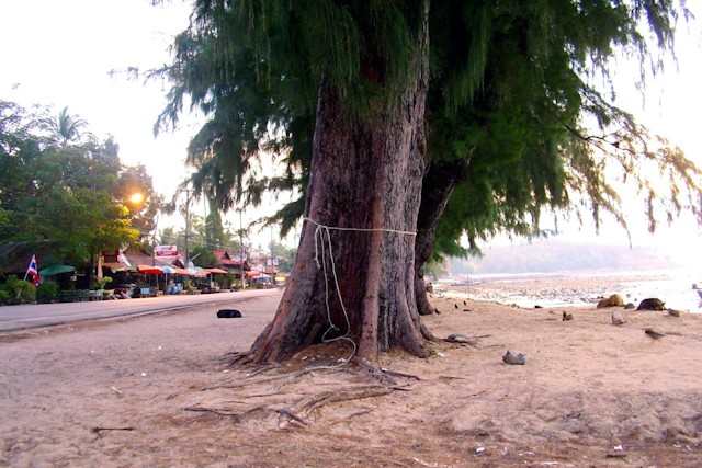 RAWAI BEACH 2001 AVANT TSUNAMI