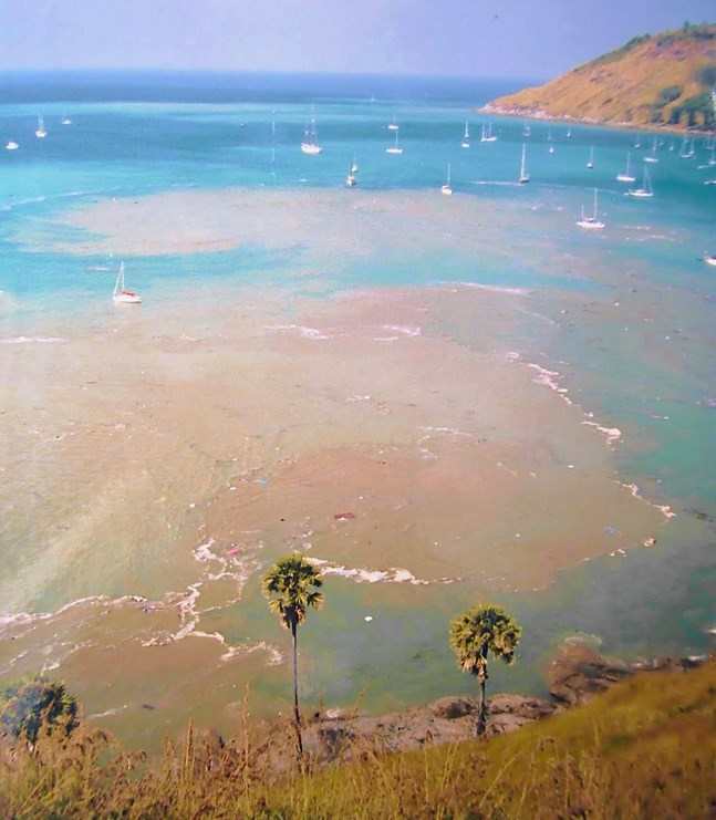 Tsunami à Nai Harn, Phuket